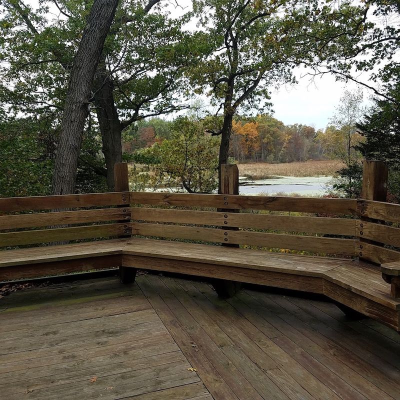 Birdwatching Opportunities That Draw Enthusiasts From Across the Region