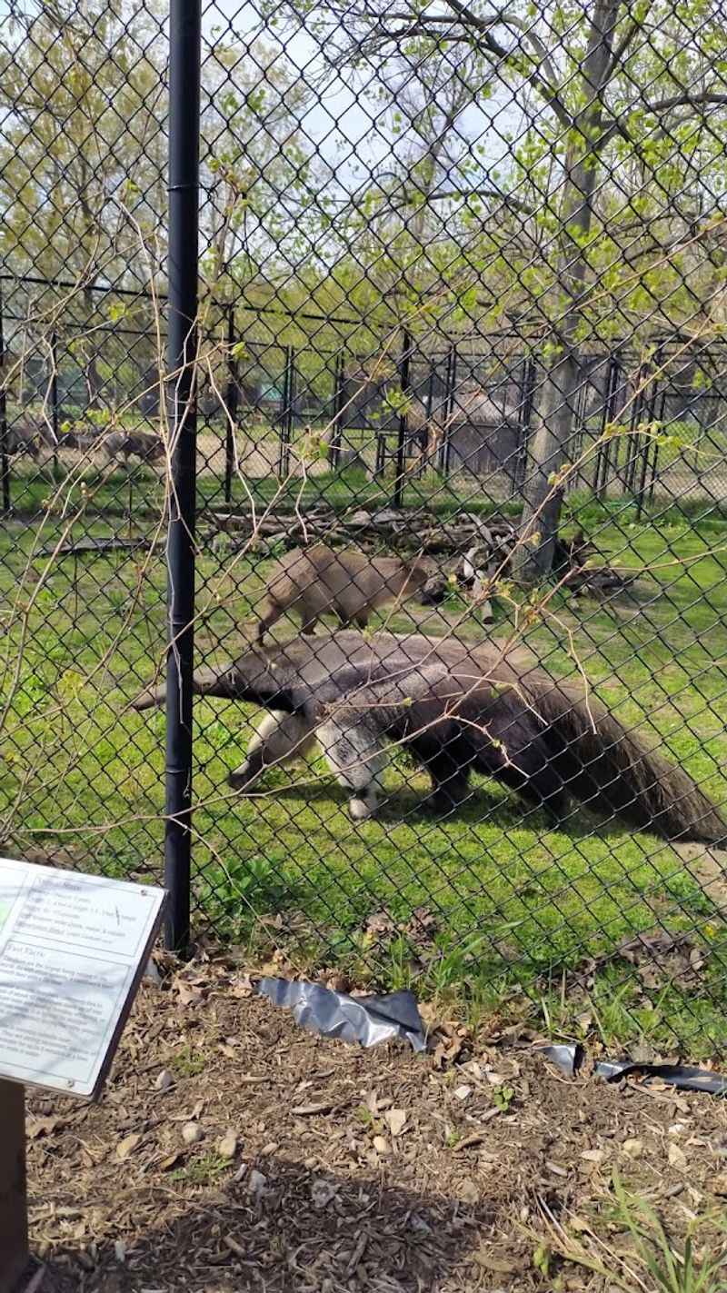 Interactive Animal Encounters That Get You Up Close