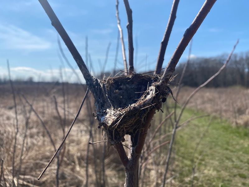 Educational Programs and Seasonal Events That Bring the Park to Life