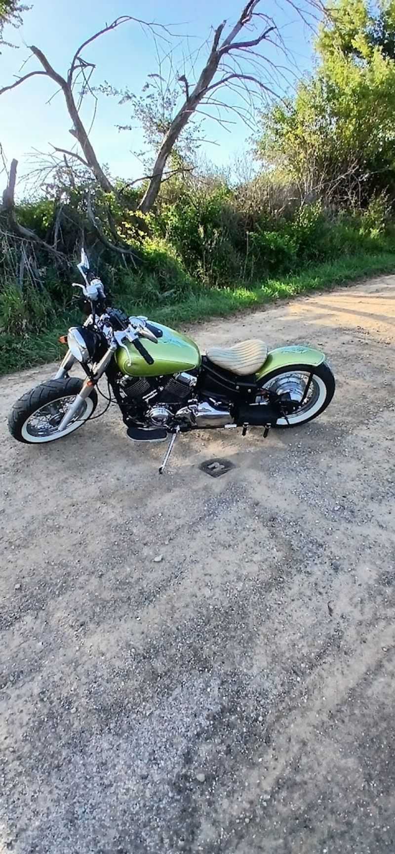 Educational Value for Kids and Curious Adults Alike