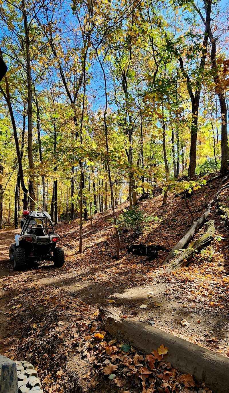 Family-Friendly Rules That Make It Safe for Everyone