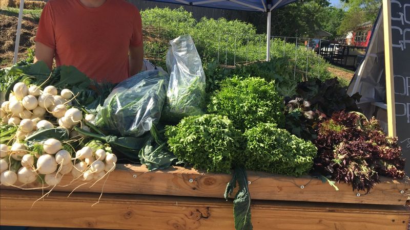 Fresh Local Produce That Actually Tastes Like Something