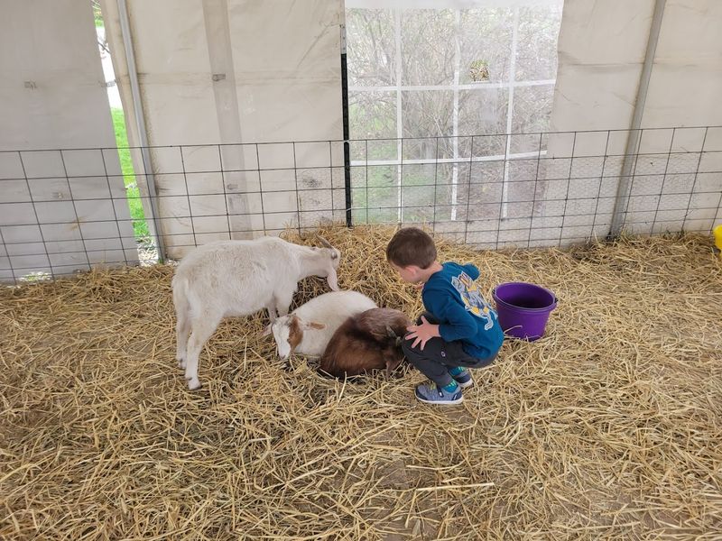 One Final Cuddle Before The Barn Closes