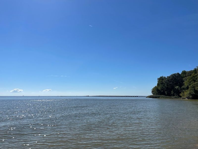 Waterfront Views That Changed The Story Of This Site