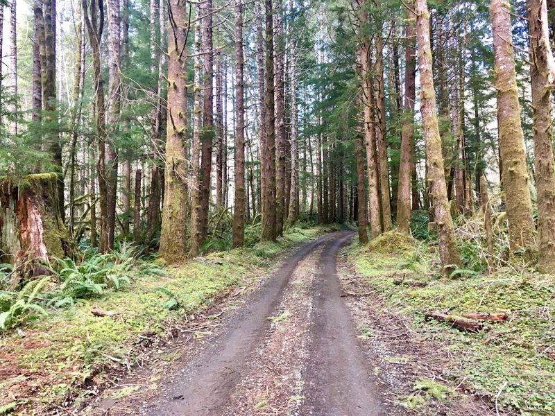 The Long Drive That Is Part of the Adventure