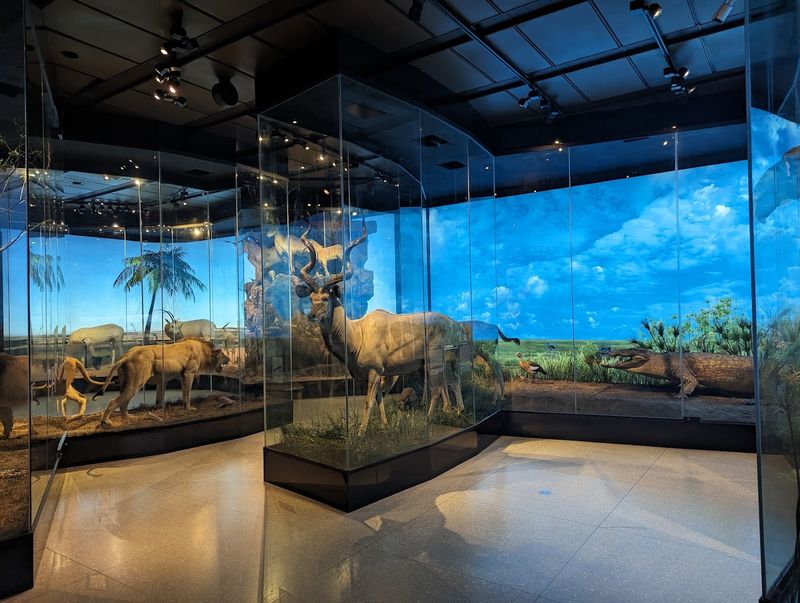 Gems and Minerals Hall: The Glittering Heart of the Museum