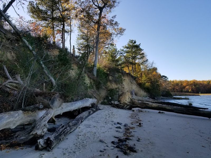 Fossil Beach: Where the Past Washes Ashore