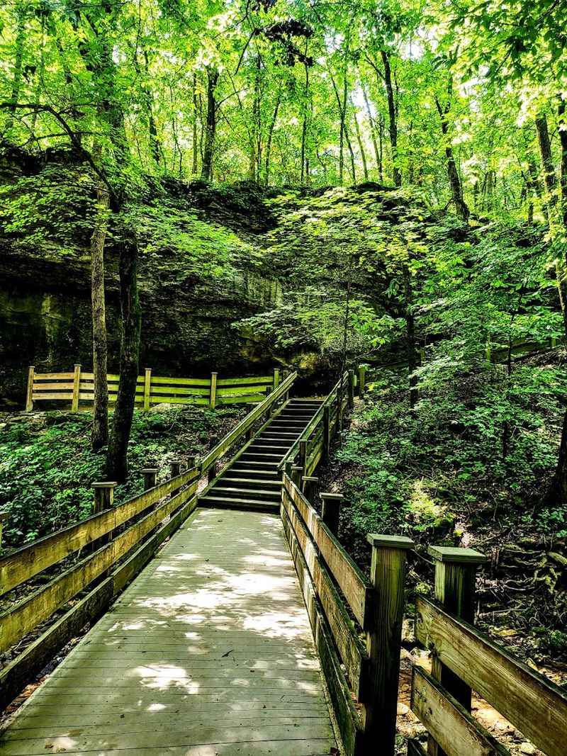 A Wooden Boardwalk Over A Peaceful Stream