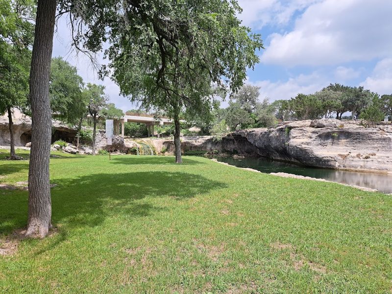 Picnic Areas That Actually Deliver on Atmosphere