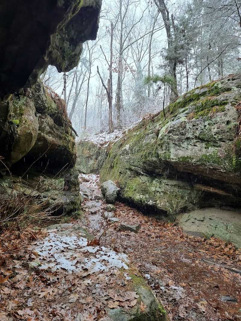 The Canyons Feel Impossibly Deep for Missouri
