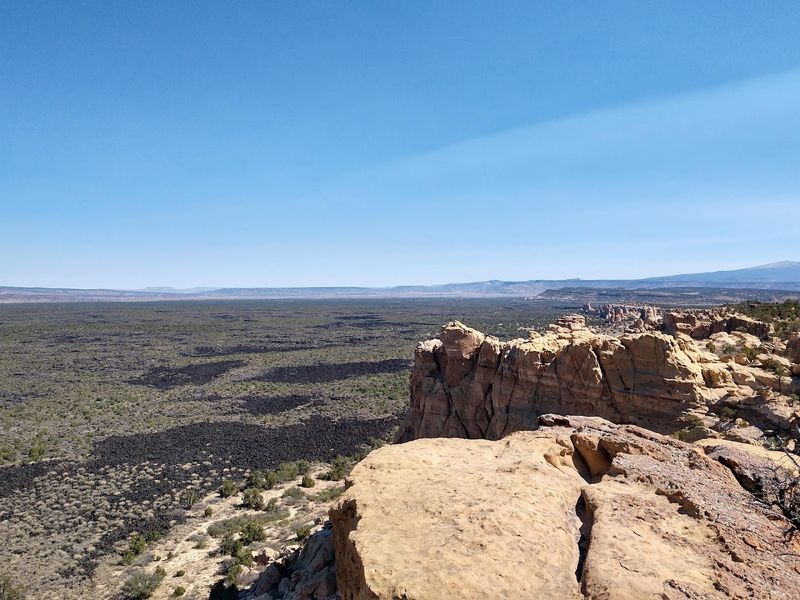 Wildlife That Somehow Thrives in the Lava