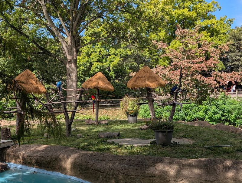 The Deer Park Tram Ride Sets The Tone