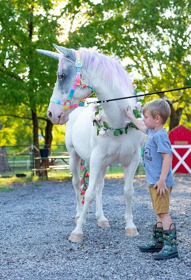 A Farm Experience That Feels Worth Every Dollar