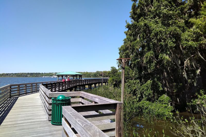 Lake Dora and the Waterfront That Will Slow You Right Down