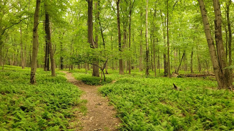 Closter Nature Center Trails