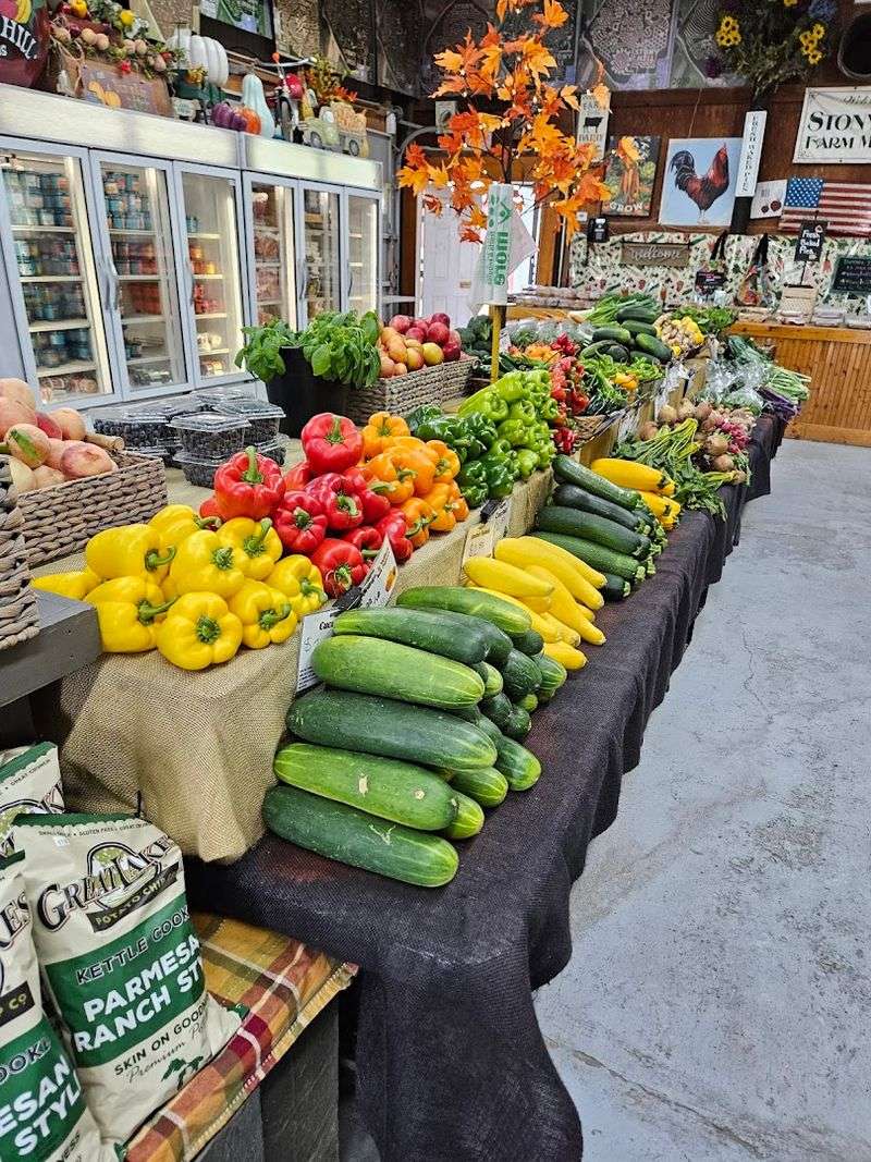Vegetable Picking: Eggplant, Tomatoes, and Peppers Straight from the Vine