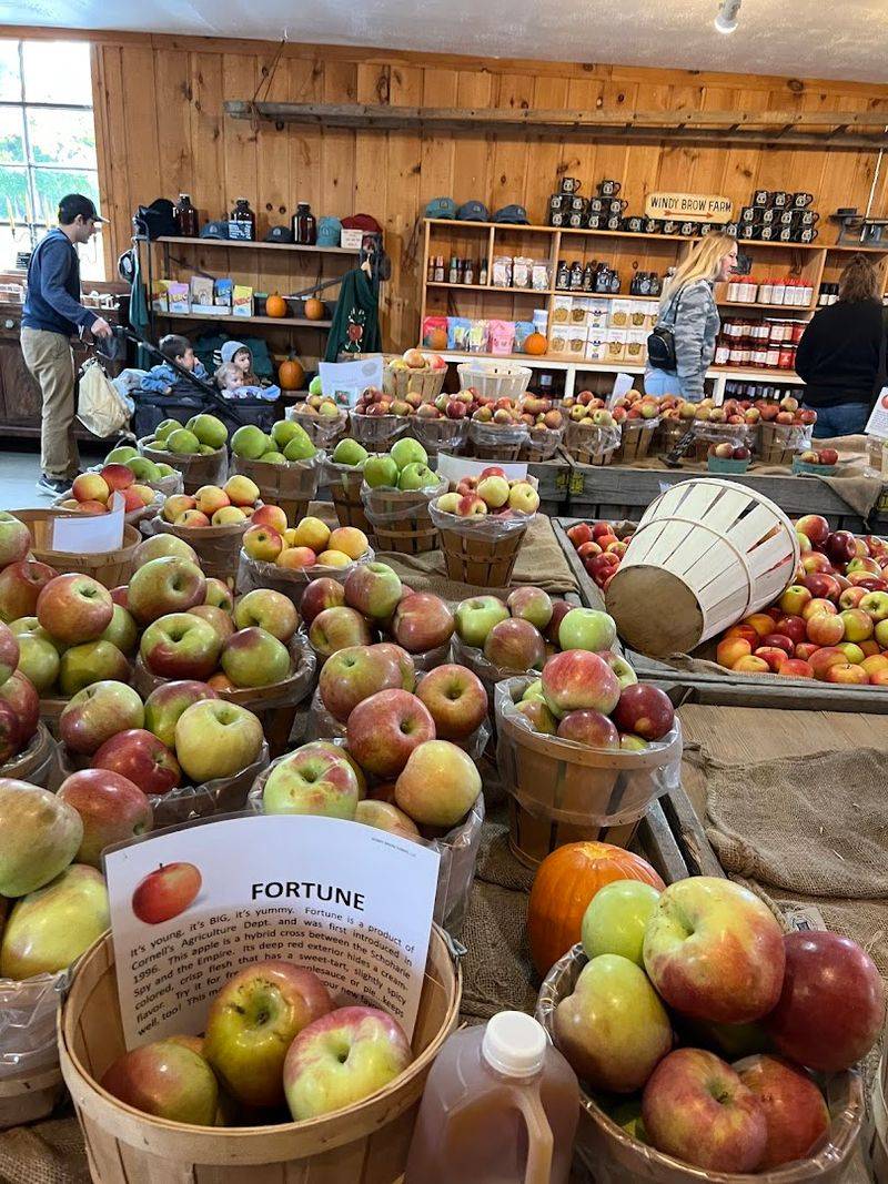 Fresh Apple Cider and Apple Cider Donuts That Deserve Their Own Fan Club