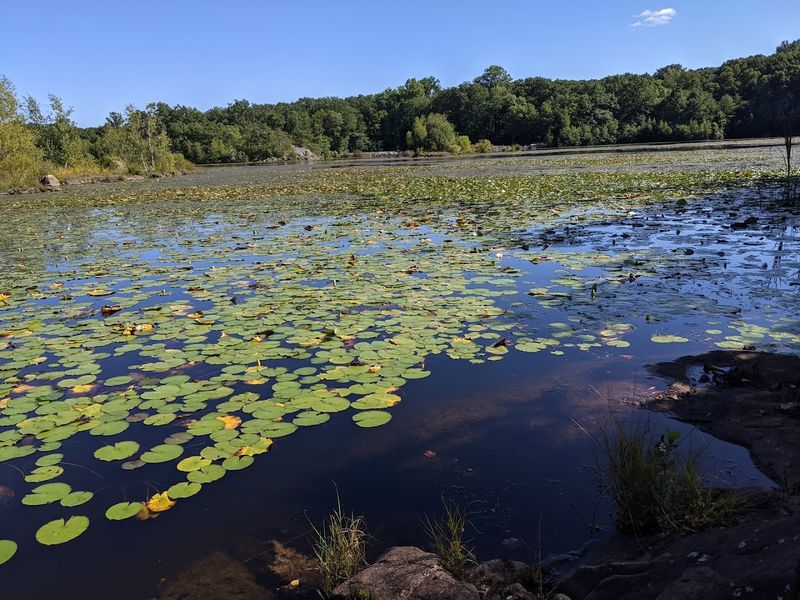 Butler Reservoir: The Shimmering Heart of the Preserve