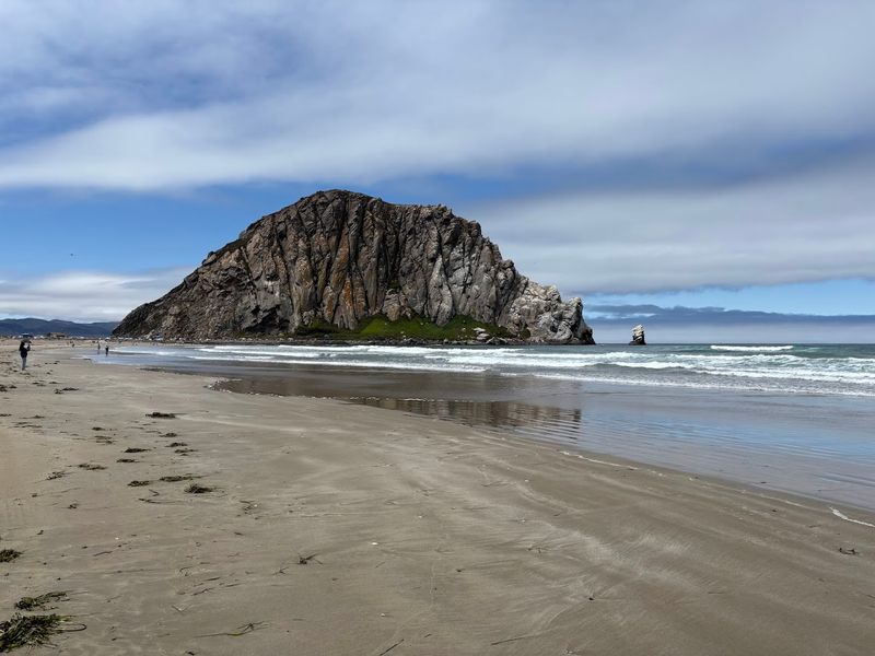 Morro Bay's Tor Creek Dog Beach – Morro Bay