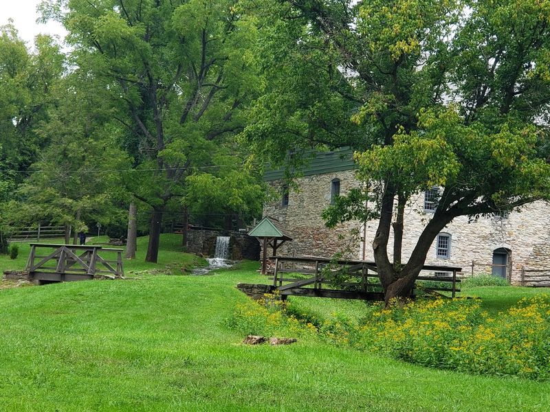 Spout Run and the Scenic Grounds Worth Lingering Over