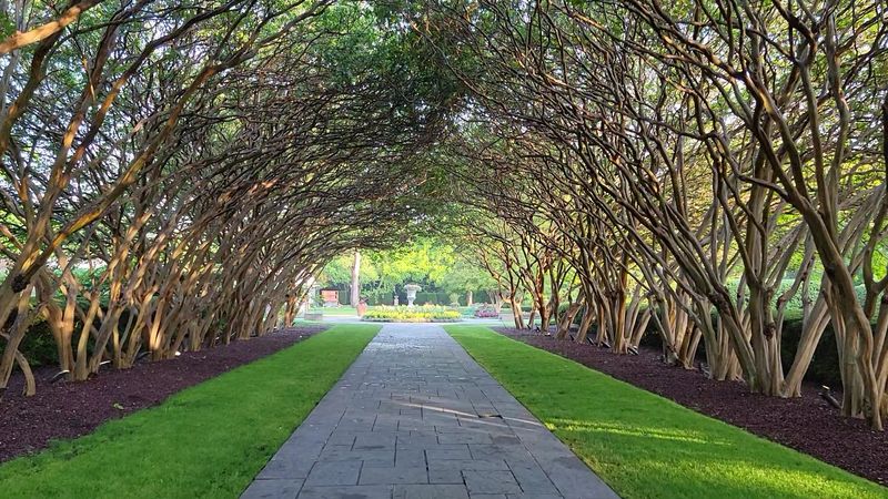 Light, Weather, And The Perfect Photo