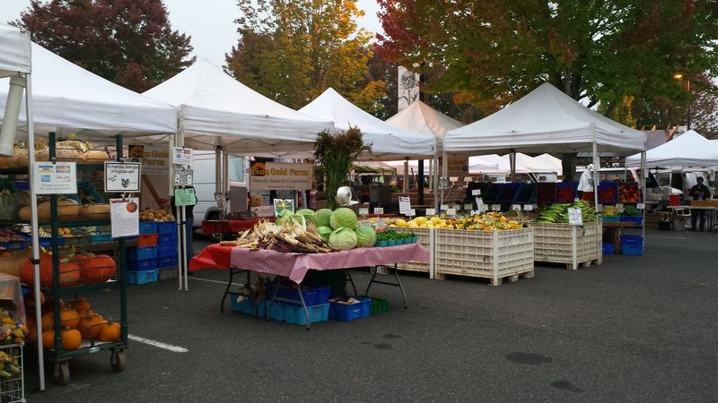 The Perfect Family Setup Near the Park