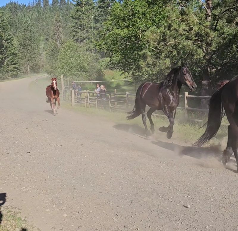 An All-Inclusive Setup That Lets the Whole Family Breathe