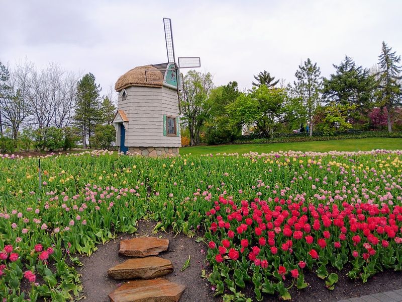 Colorful Rows Make Every Walk Better