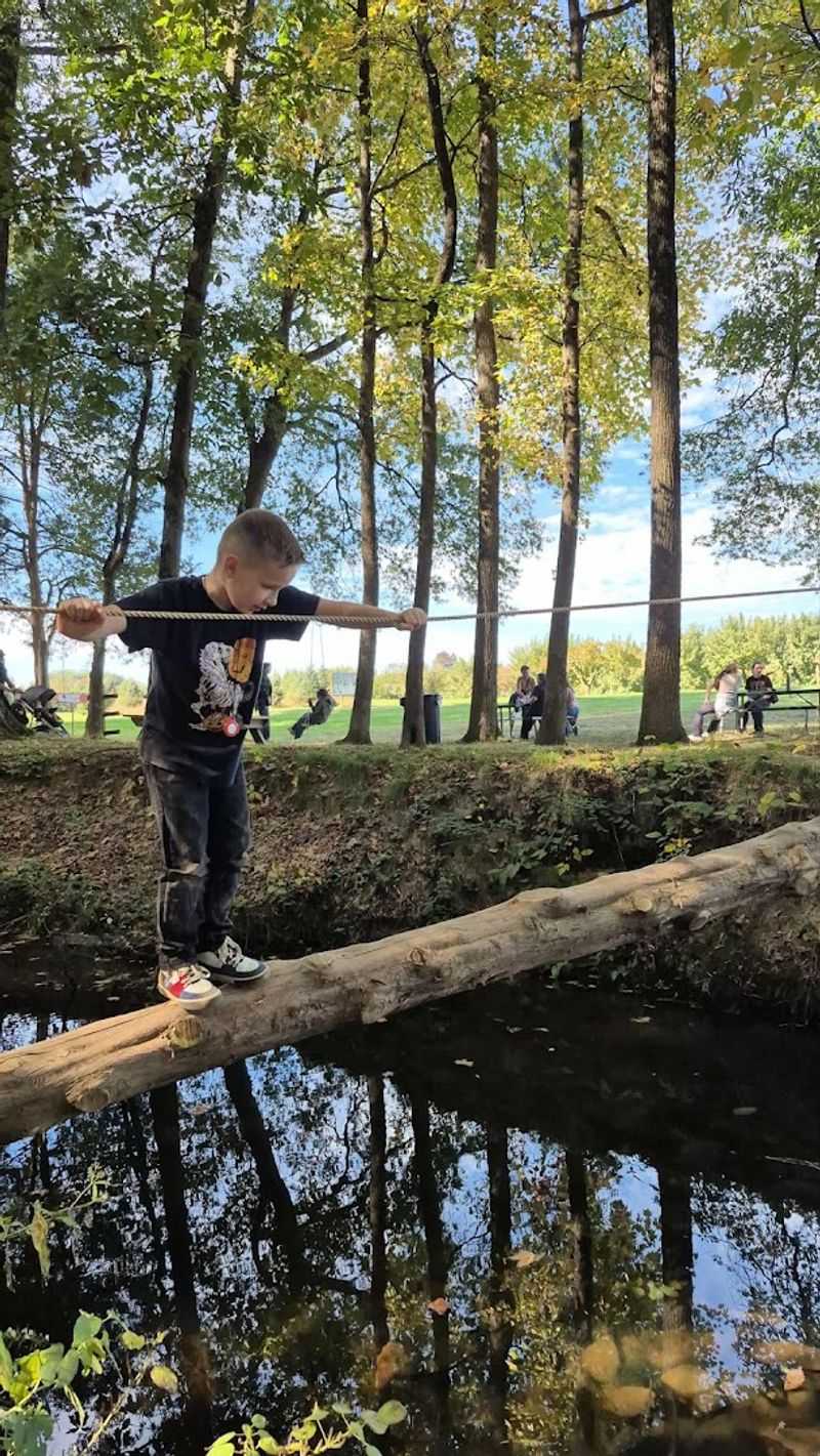 Zip-Lines, Swings, and Creekside Adventures for Every Age