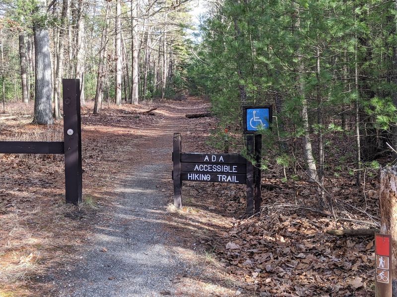 Brendan T. Byrne State Forest Accessible Trail