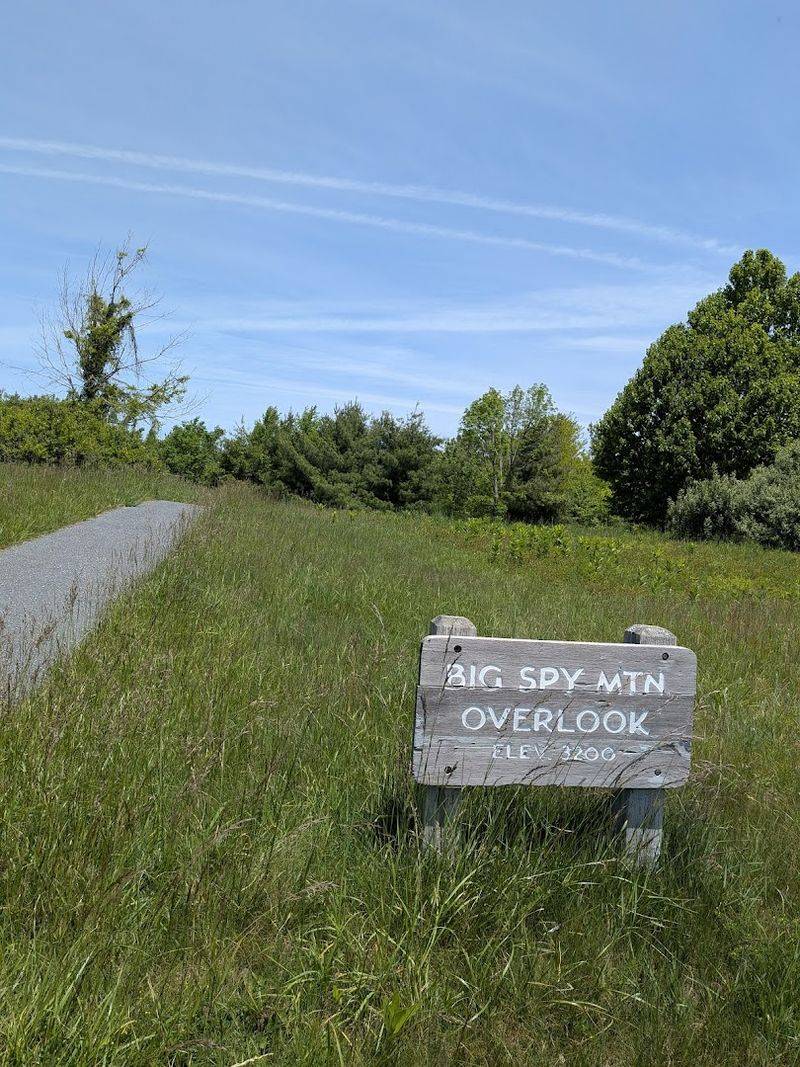 Getting There, Practical Details, and Why You Should Go Now