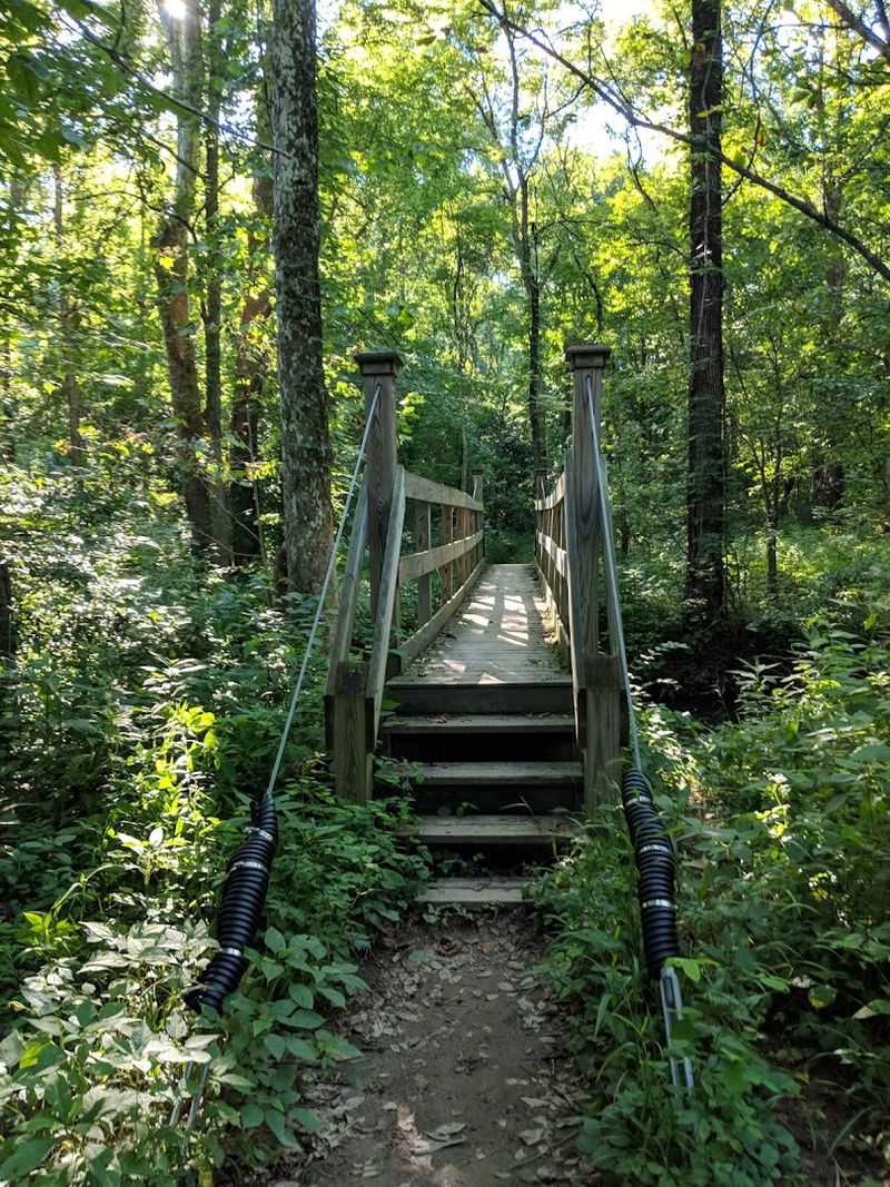 Stream Crossings and Hidden Hollows