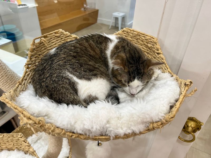 One Last Look Before The Reservation Ends