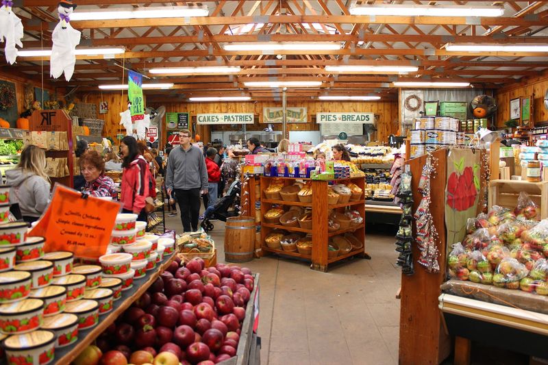 Local Honey and Jams: The Jars You Take Home and Never Forget