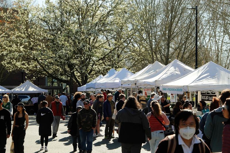 Street Food Stalls That Steal the Morning