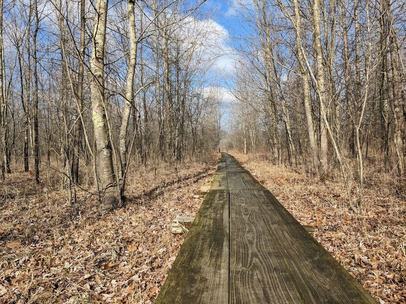 Community Conservation and 30 Years of Sycamore Land Trust Stewardship