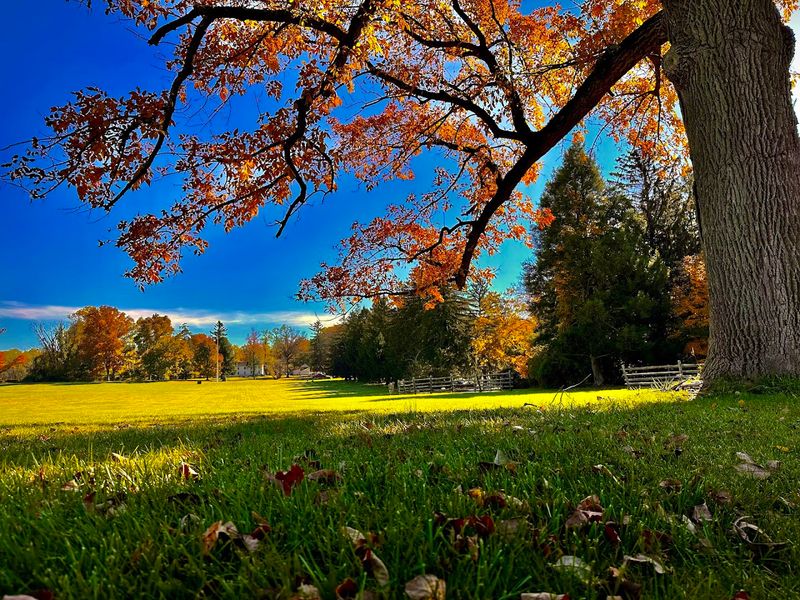 Planning Your Visit: Practical Tips for Making the Most of the Park