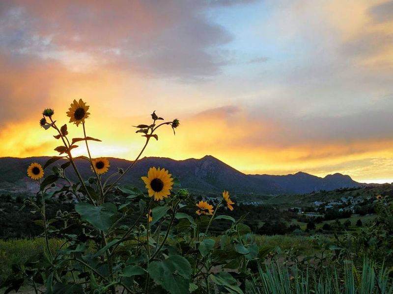 Ute Valley Park – Sandstone Peak Trail