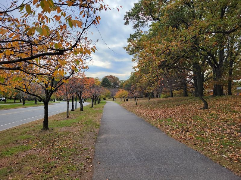 The Greenway (Newark Phase 1)