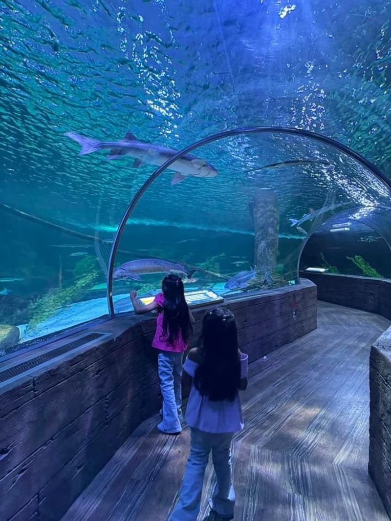 Marine Conservation and Education