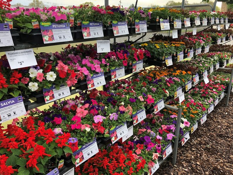 Lawn, Garden, and Nursery Products for Every Green Thumb