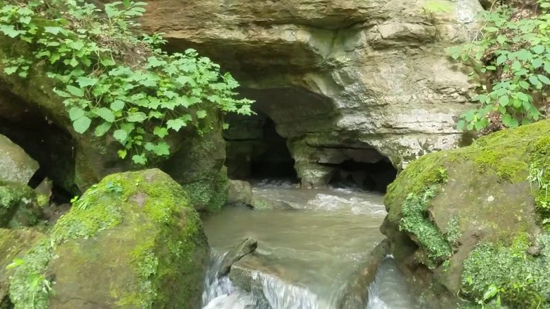 Lost Creek Cave (White County)
