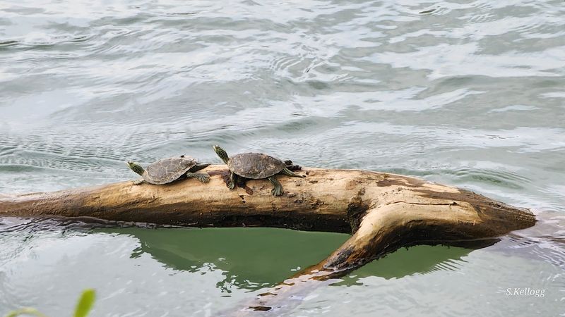 Wildlife Along the Trail Adds a Whole Extra Layer to the Experience