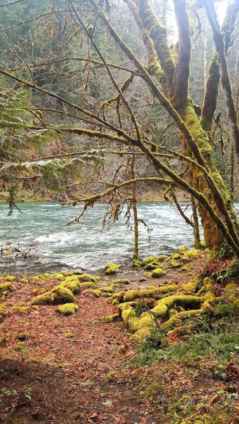 What to Pack for a Day on This Remote Trail