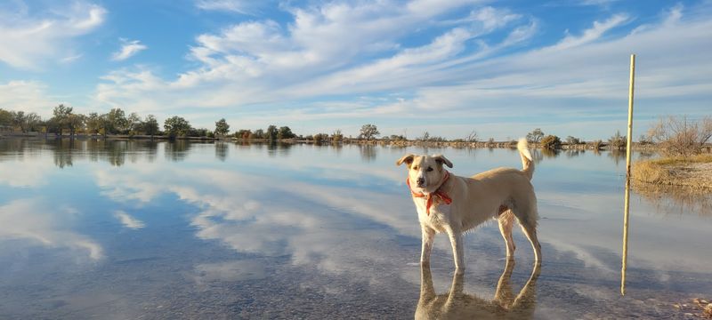 What to Pack for a Day Here