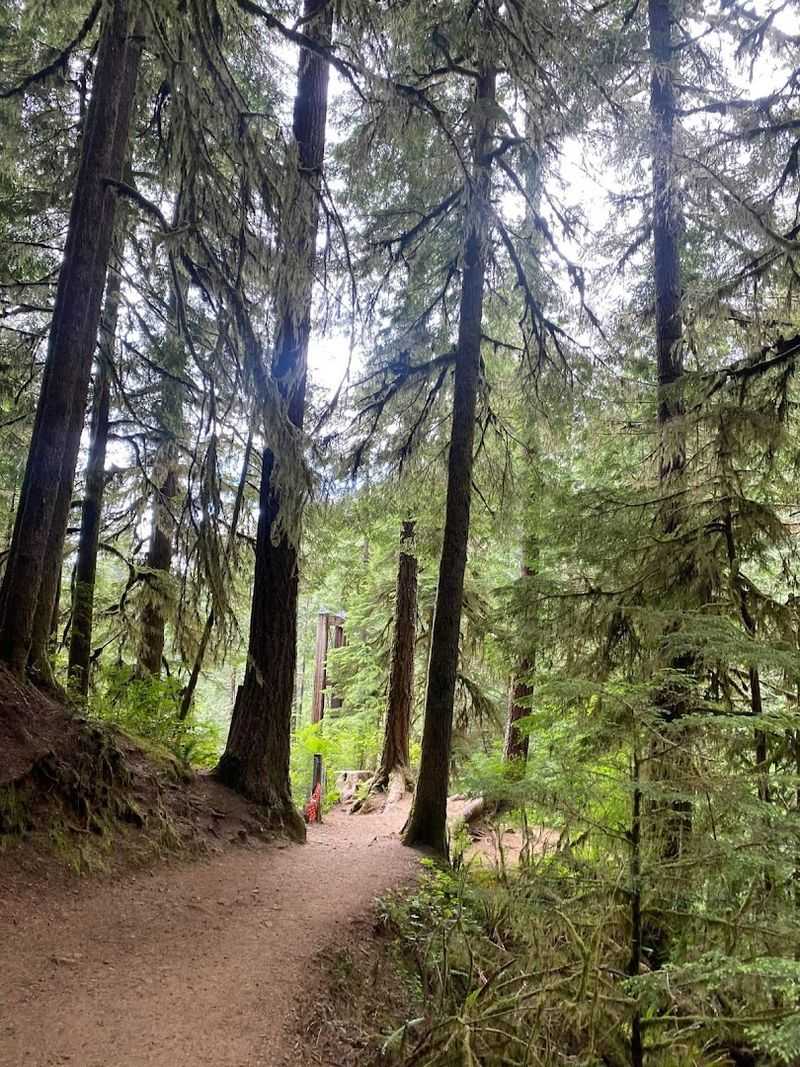 The North Fork Loop Trail