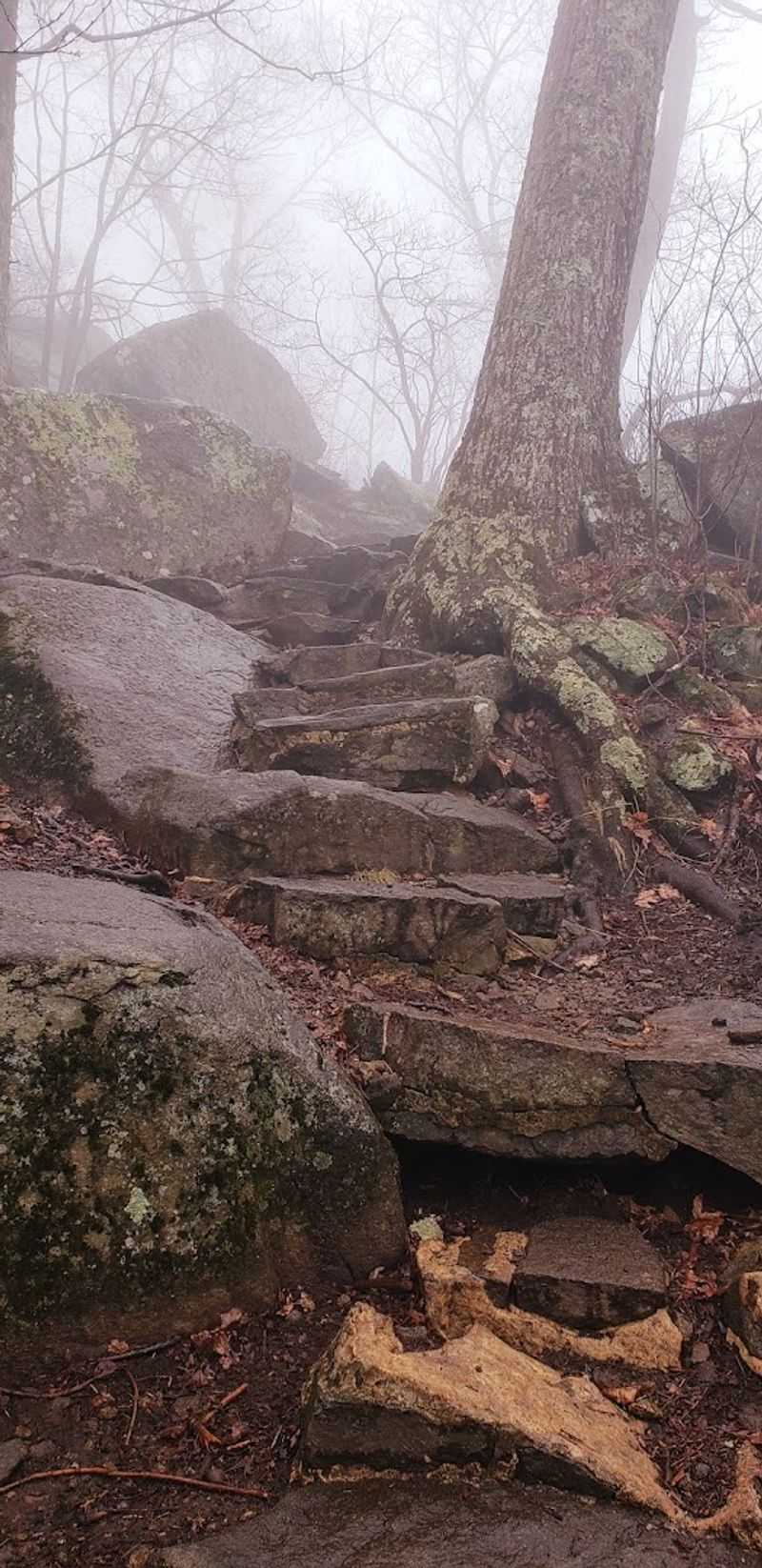 What to Pack for a Smart Sharp Top Hike