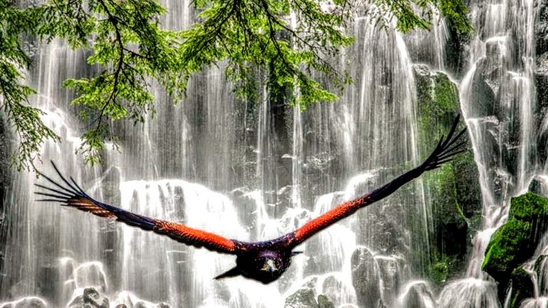 Wildlife Along the Way: Keep Your Eyes Open