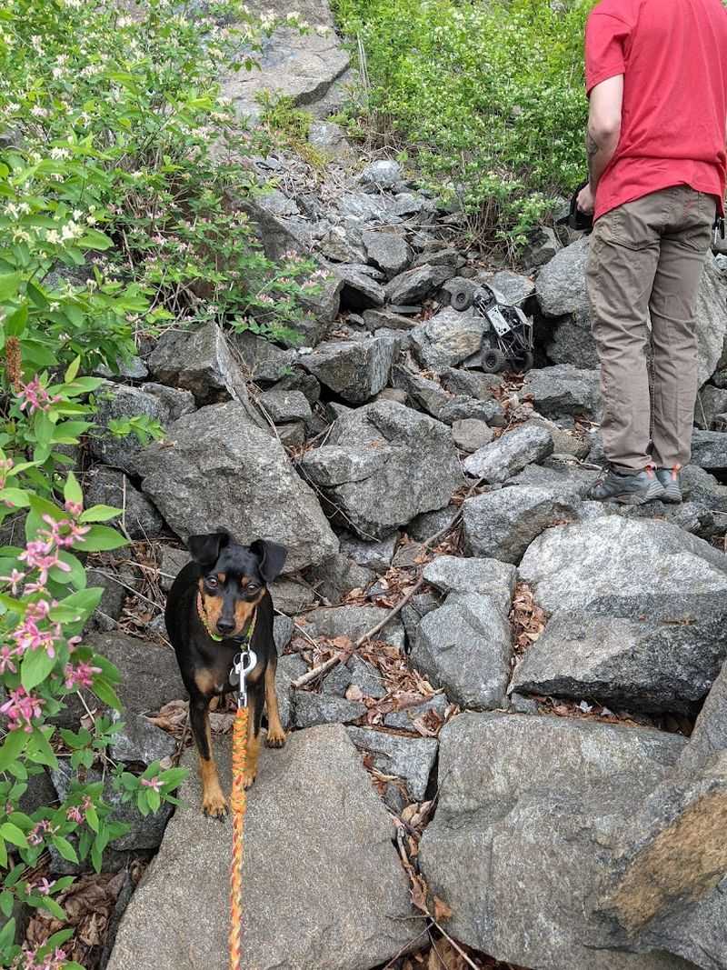 Practical Tips Before You Go: Gear, Access, and Trail Sense