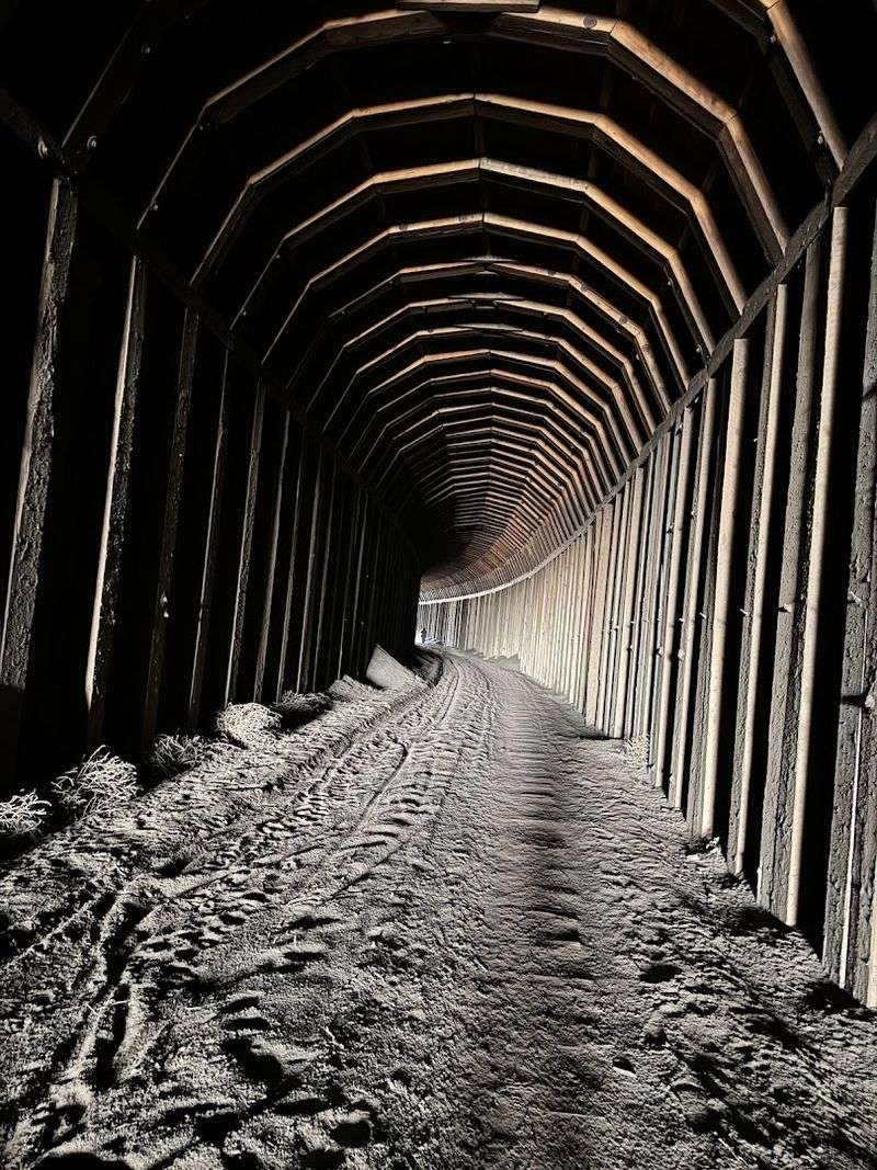 Guided Bat Tours Through Texas Parks and Wildlife